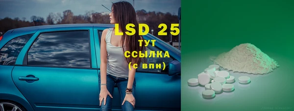 винт Абаза