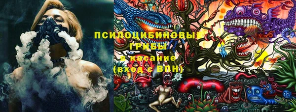не бодяженный Алексин