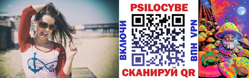 купить закладку Курск Псилоцибиновые грибы Psilocybe